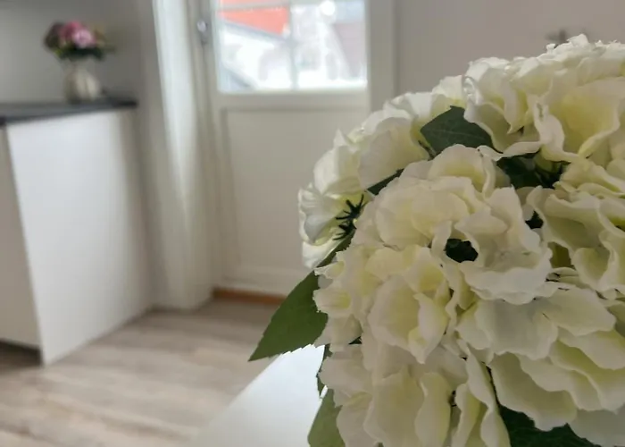 Harmony - By Honivi Gruppen